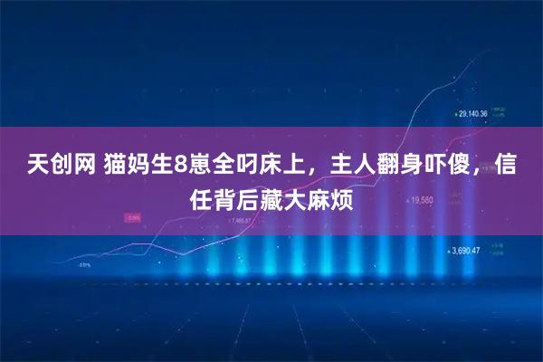 天创网 猫妈生8崽全叼床上，主人翻身吓傻，信任背后藏大麻烦