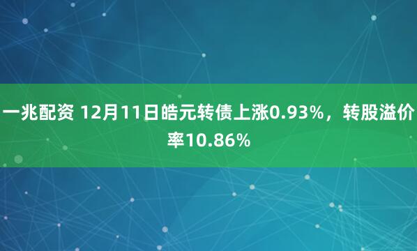 一兆配资 12月11日皓元转债上涨0.93%，转股溢价率10.86%